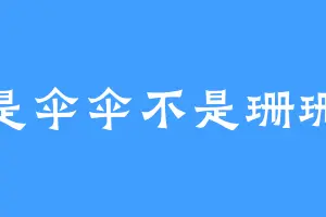 是伞伞不是珊珊