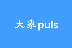 大象puls
