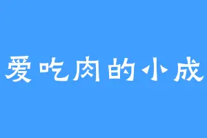 爱吃肉的小成