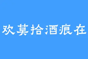 坠欢莫拾酒痕在衣