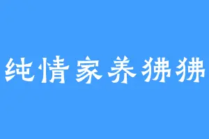 纯情家养狒狒
