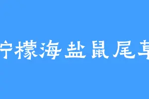 柠檬海盐鼠尾草
