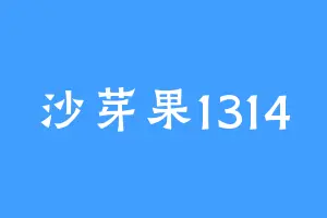沙芽果1314