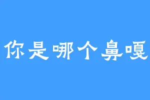你是哪个鼻嘎