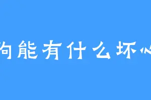 小狗能有什么坏心思