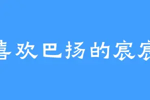 喜欢巴扬的宸宸