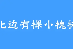 北边有棵小槐树