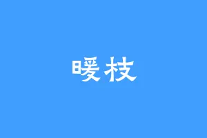 暖枝