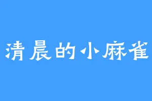 清晨的小麻雀