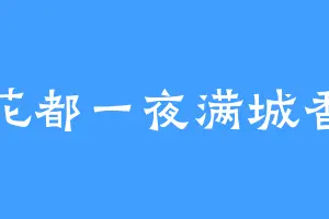 花都一夜满城香
