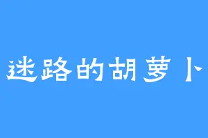 迷路的胡萝卜
