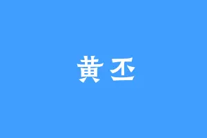 黄丕