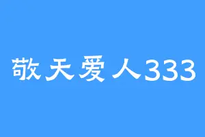 敬天爱人333