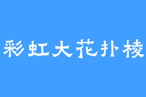 爆闪彩虹大花扑棱蛾子