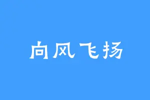 向风飞扬