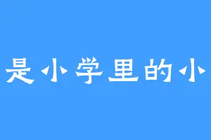 作者是小学里的小学生