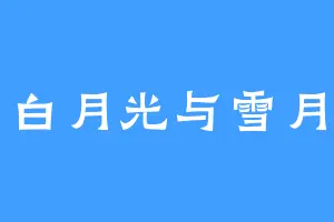 白月光与雪月