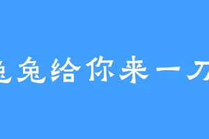 兔兔给你来一刀1