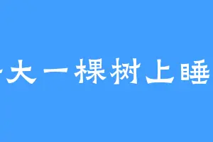 好大一棵树上睡觉