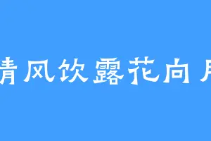 清风饮露花向月
