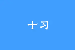 十习