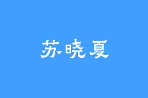 苏晓夏