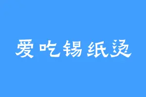 爱吃锡纸烫