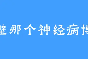 隔壁那个神经病博士