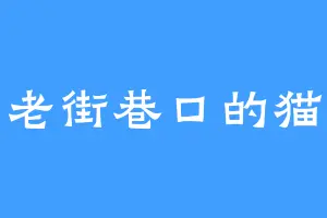 老街巷口的猫