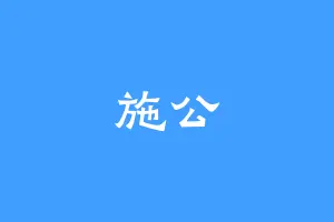 施公