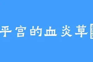 太平宫的血炎草薙京