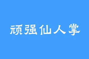 顽强仙人掌